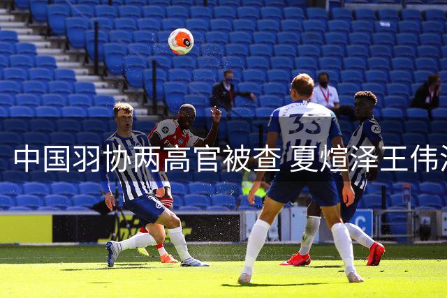 中国羽协两高官被查 夏煊泽王伟涉违纪违法接受调查