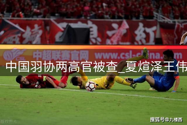 中国羽协两高官被查 夏煊泽王伟涉违纪违法接受调查