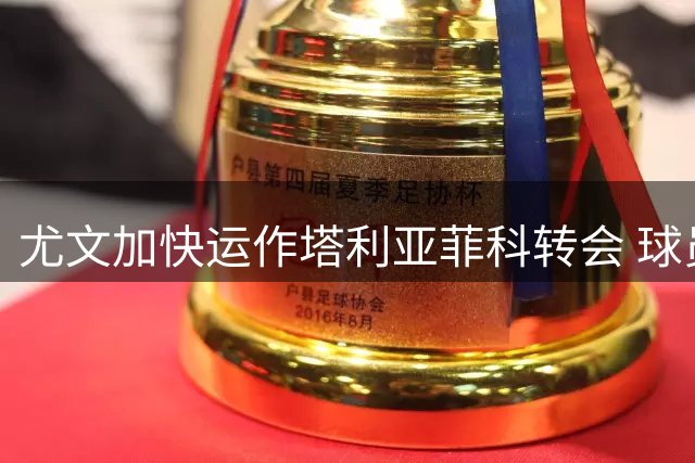 尤文加快运作塔利亚菲科转会 球员合约仅剩12个月